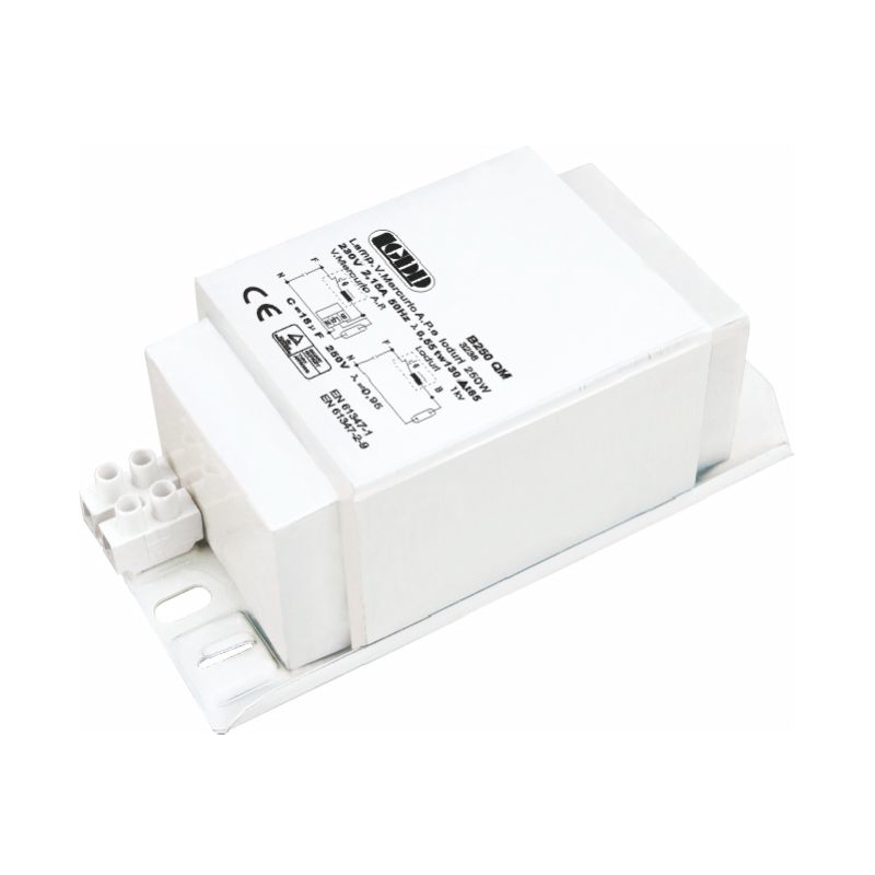 HID ballasts for built-in TYPE V
